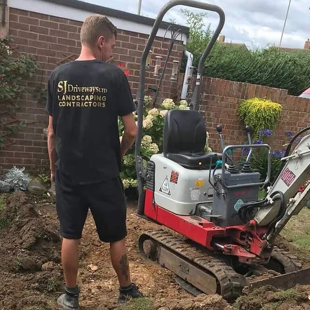 Tree Removal